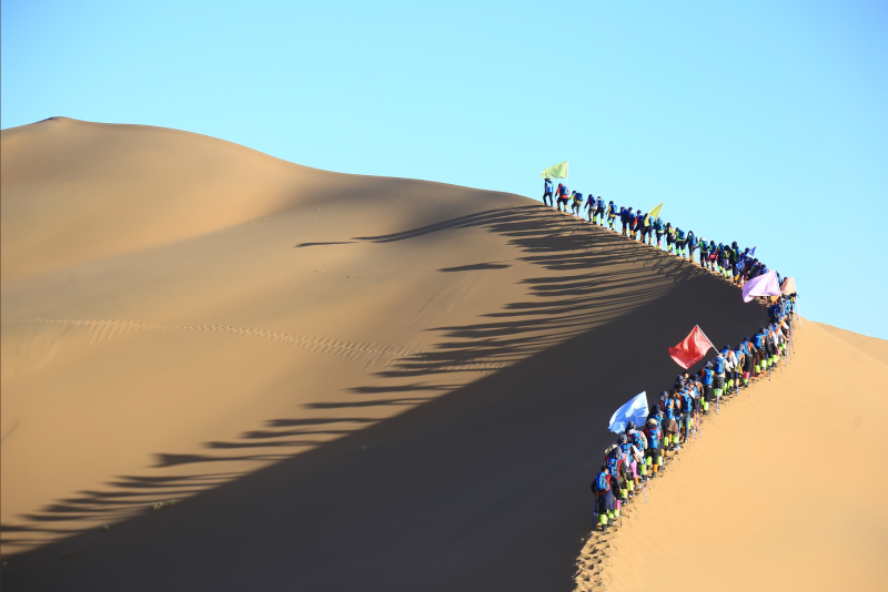 蘑菇视频成人团队玄奘之路1